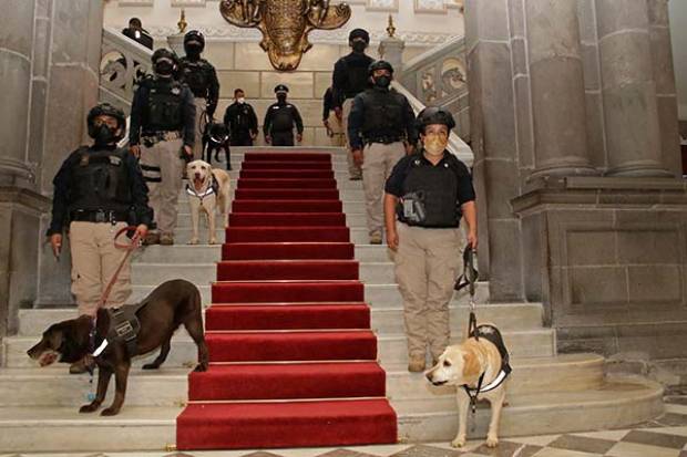 16 perros policías se jubilaron con honores tras siete años de servicio