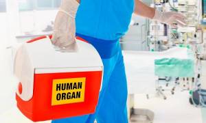 ¿Cómo tratan los médicos el cuerpo de una persona donante?