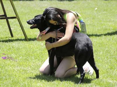 Descubre si le agradas o no a tu perro