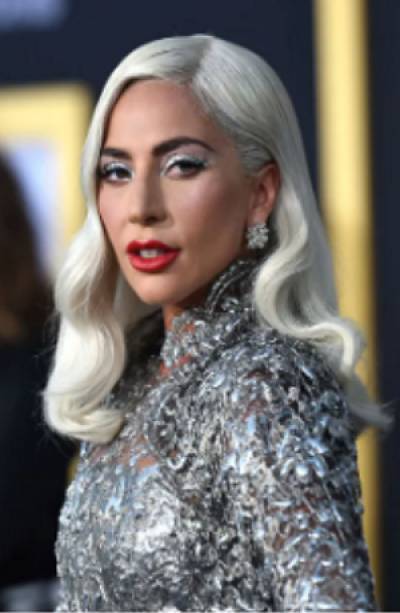 Lady Gaga: Hombre que se robó a sus perros pasará 21 años en prisión