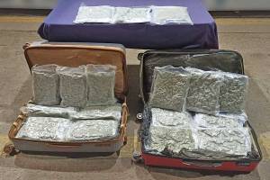 Sujeto con 23 kilos de marihuana es detenido en la CAPU