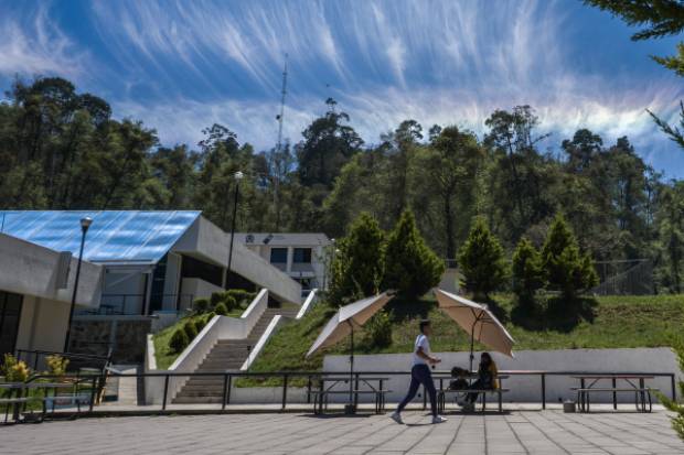 Pareja de estudiantes de Zacapoaxtla ataca a compañera con paralizador eléctrico; están denunciados