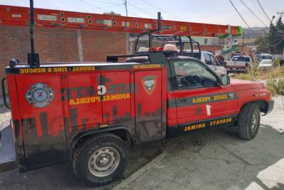 Una mujer y sus mascotas resultaron quemadas tras explosión en San Jerónimo Caleras