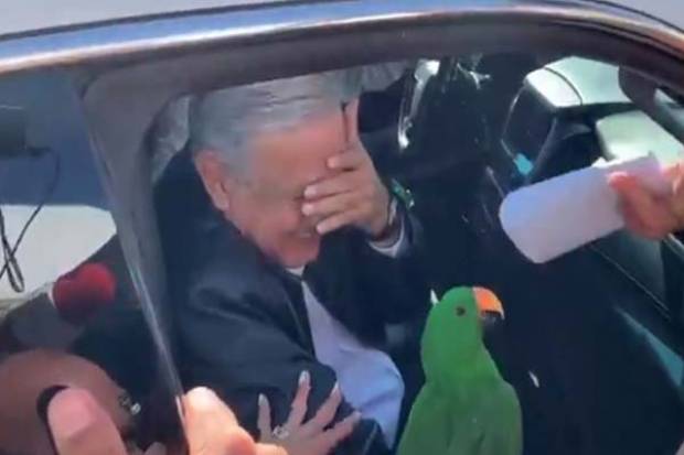 Mujer regala a AMLO... ¡un perico!