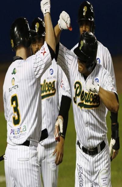 Pericos de Puebla no participará en la LMB para la próxima temporada