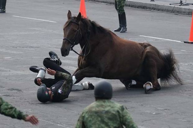 Estable, jinete que sufrió caída en desfile de la Revolución Mexicana