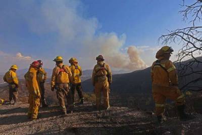 México sufre 106 incendios forestales en 21 estados: Conafor