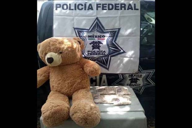 Policía Federal asegura osito de peluche que escondía 200 mil pesos