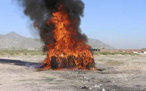 FGR Puebla incinera más de 224 kilogramos de droga