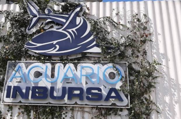 Muere ahogada bióloga en el acuario Inbursa