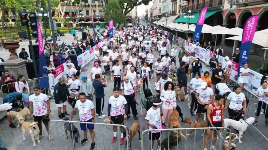 Más de 500 participantes registró la carrera "Contigo y tus Perritos"