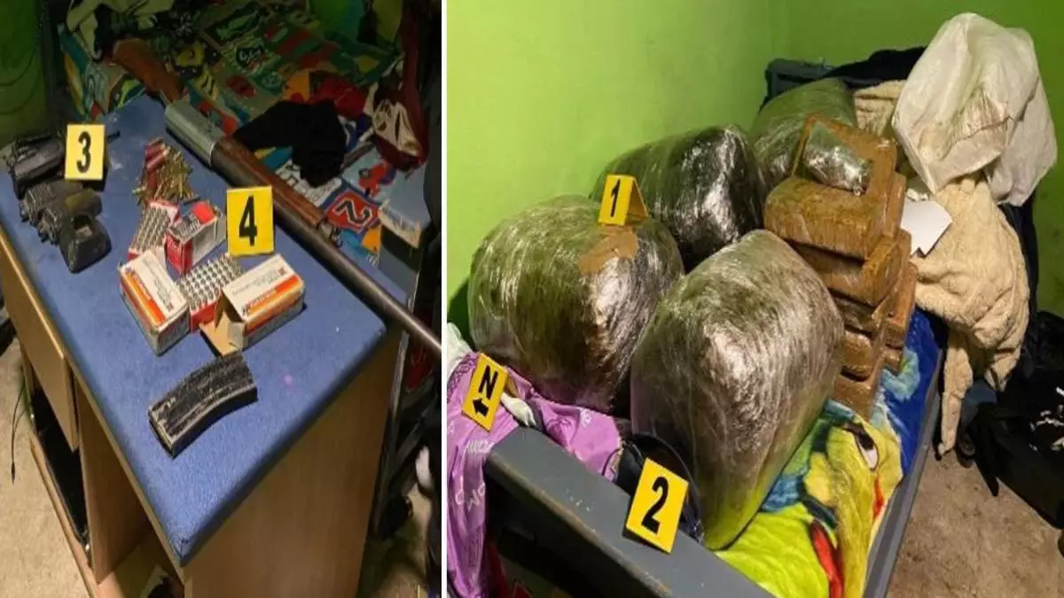 Vendedores de droga detenidos en Tlachichuca tenían coyotes de mascotas