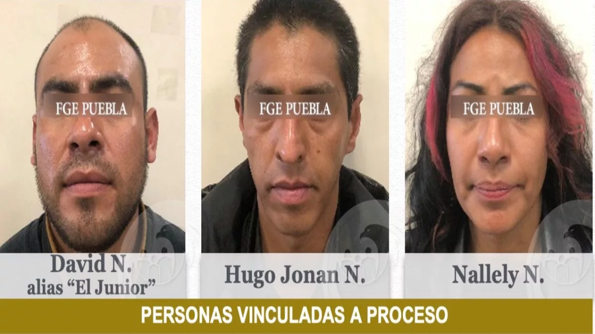 Vendedores de droga detenidos en Tlachichuca tenían coyotes de mascotas