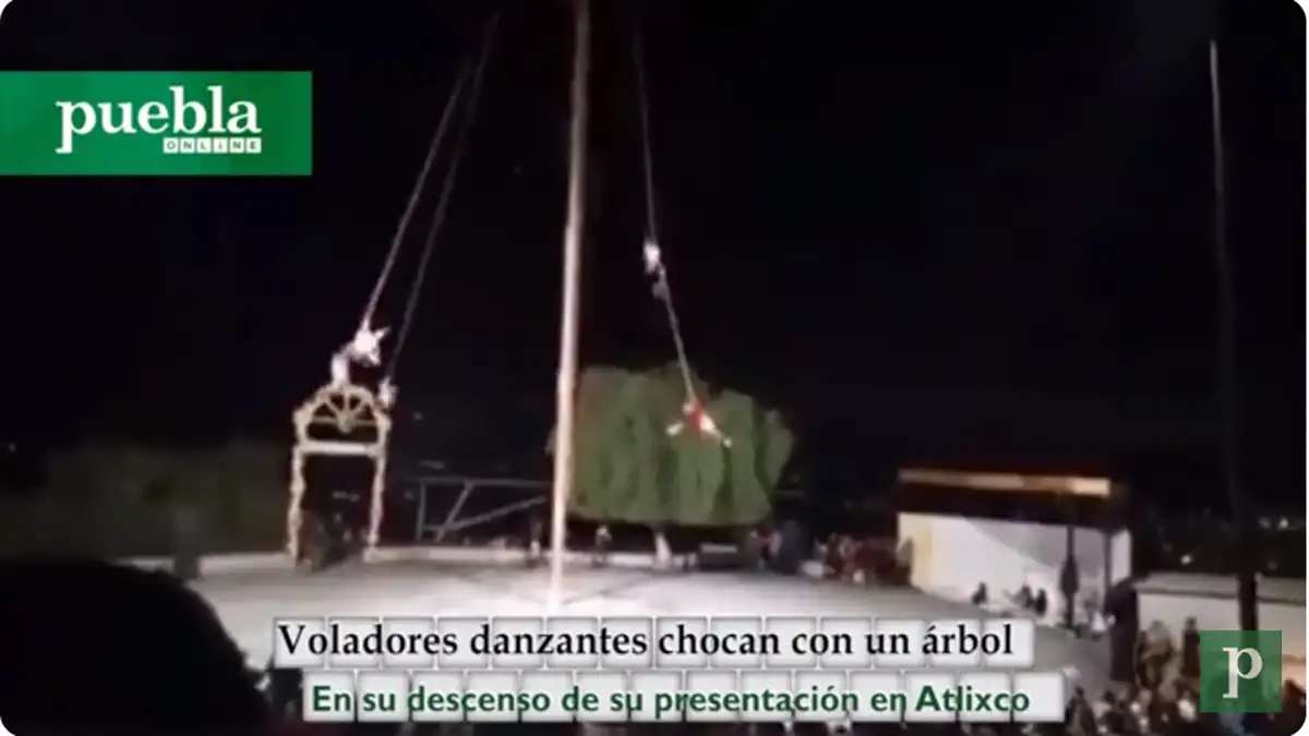 Voladores danzantes chocan con un árbol en su descenso de su presentación en Atlixco, Puebla