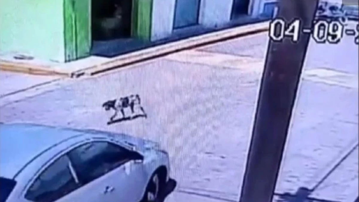 Pariente del alcalde Piaxtla atropella a un perro intencionalmente