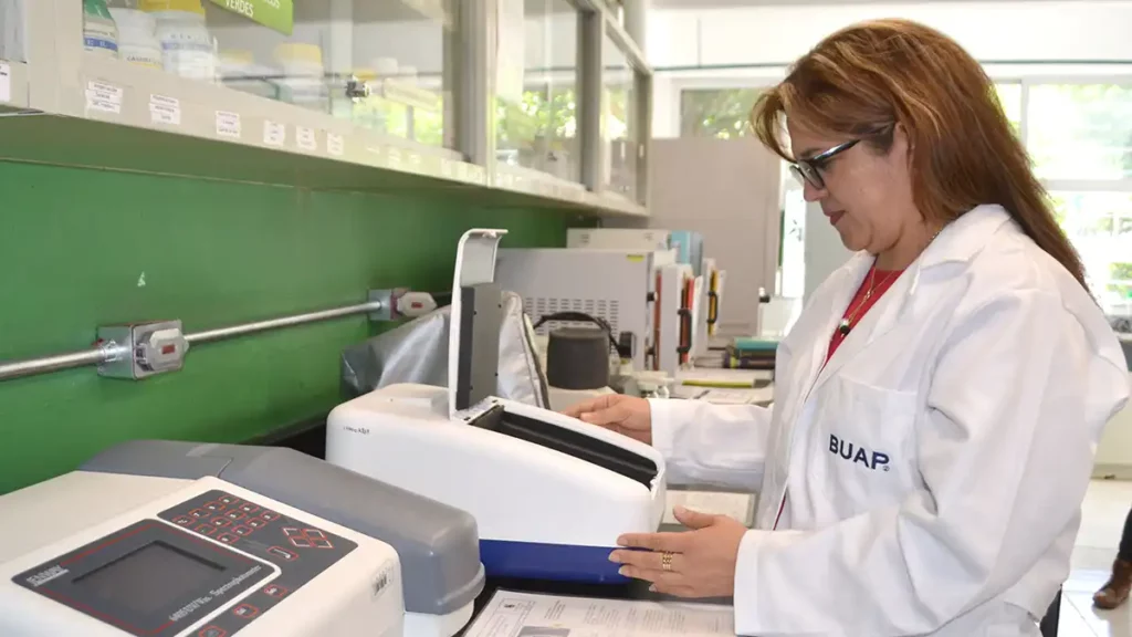 Investigadores de la BUAP trabajan para lograr inocuidad en la producción de cilantro