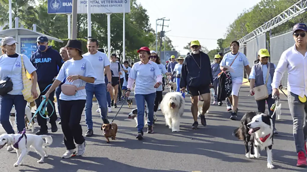 BUAP festeja aniversario del Centro de Apoyo Emocional y Terapia Ocupacional con Animales