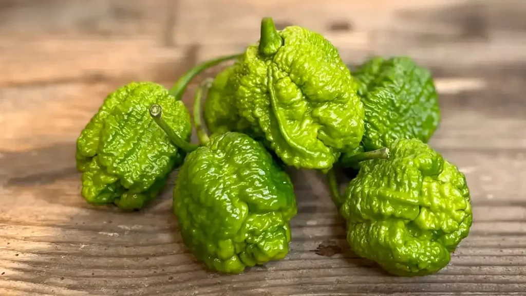 Este es el chile más picante del mundo