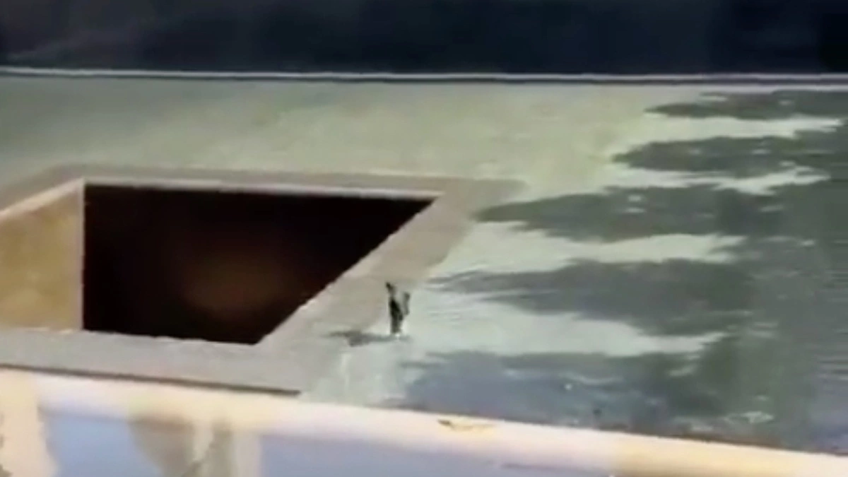 Hombre se arrojó a piscina del Memorial del 11S en Nueva York