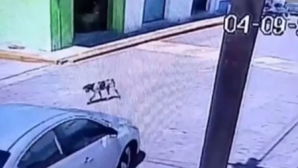 Detienen a sujeto que arrolló intencionalmente a un perro en Piaxtla