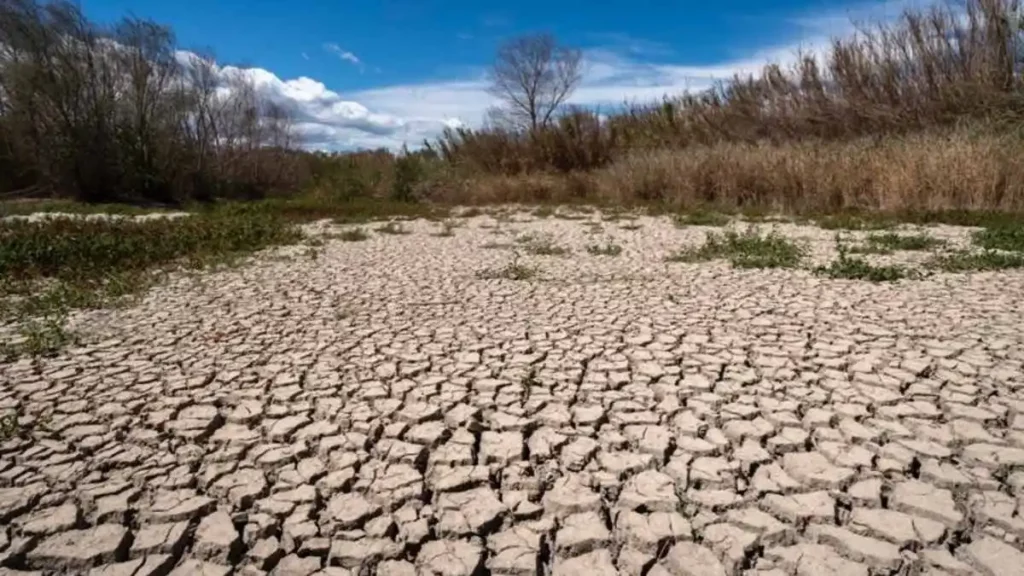 Aumentará calentamiento global 3 grados durante este siglo: ONU