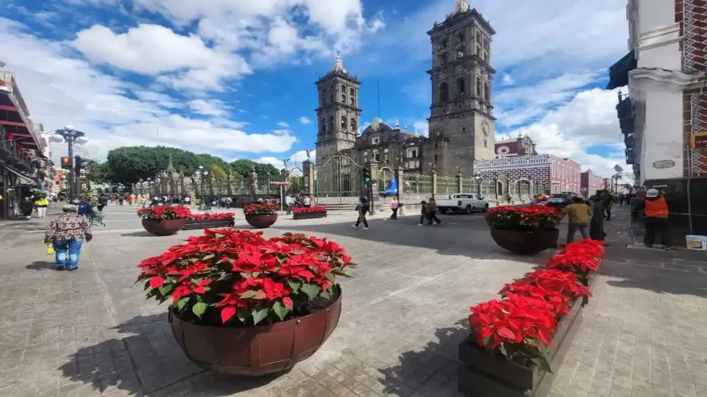 Colocan flores de nochebuena en el centro de la capital poblana