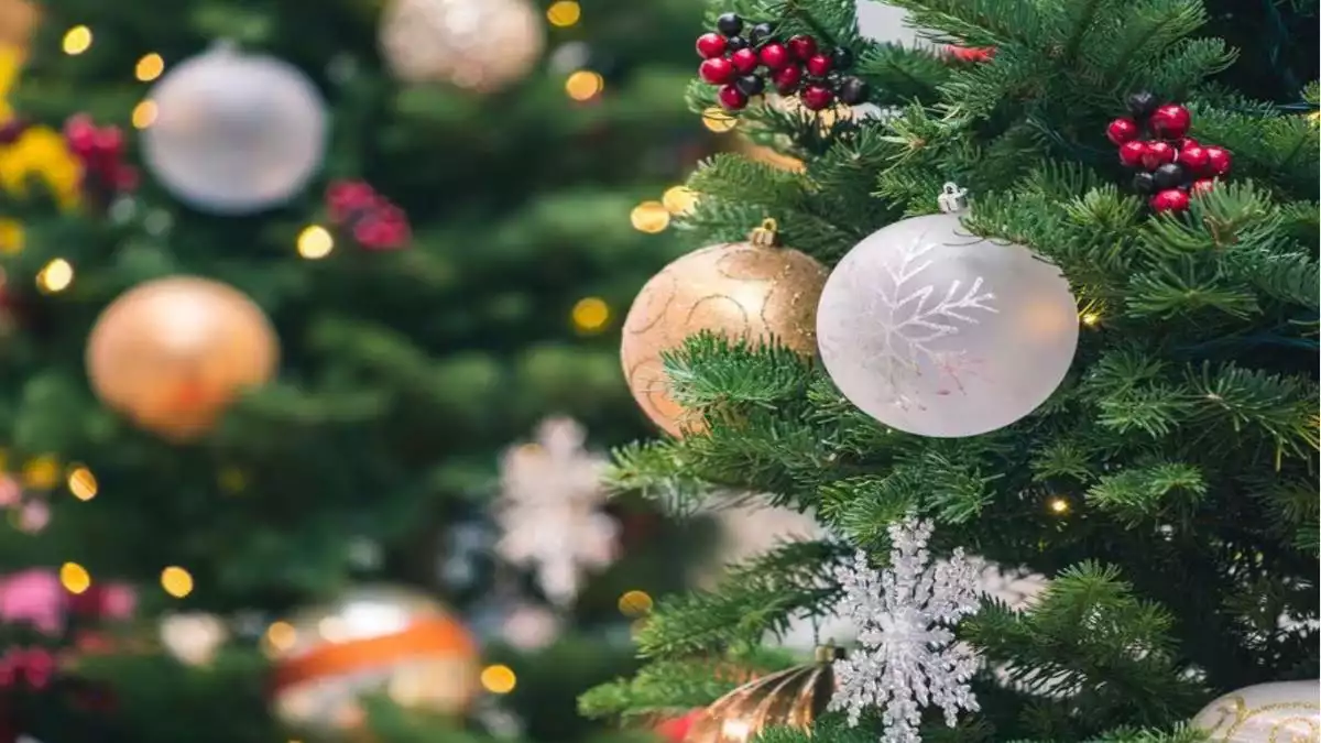 ¿Cuál es el verdadero origen de la navidad?