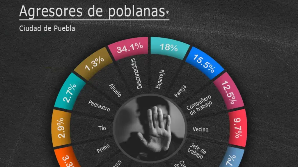 Este es el perfil de los principales agresores de poblanas