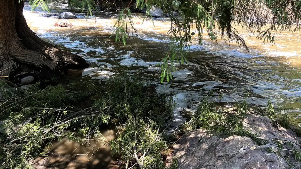 Río Nexapa, con alto grado de contaminación fecal: BUAP