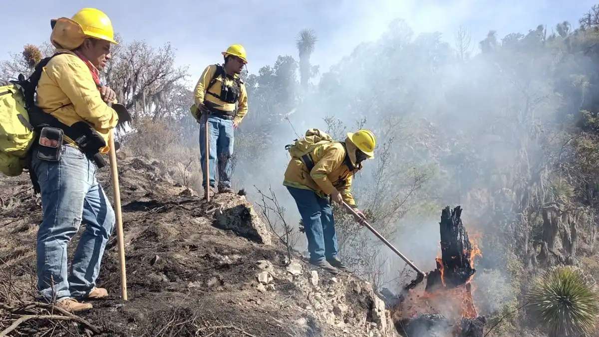 Van siete incendios forestales sofocados en lo que va de 2024 en Puebla