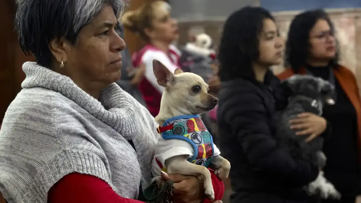 Mascotas reciben bendición por celebración de San Antonio Abad