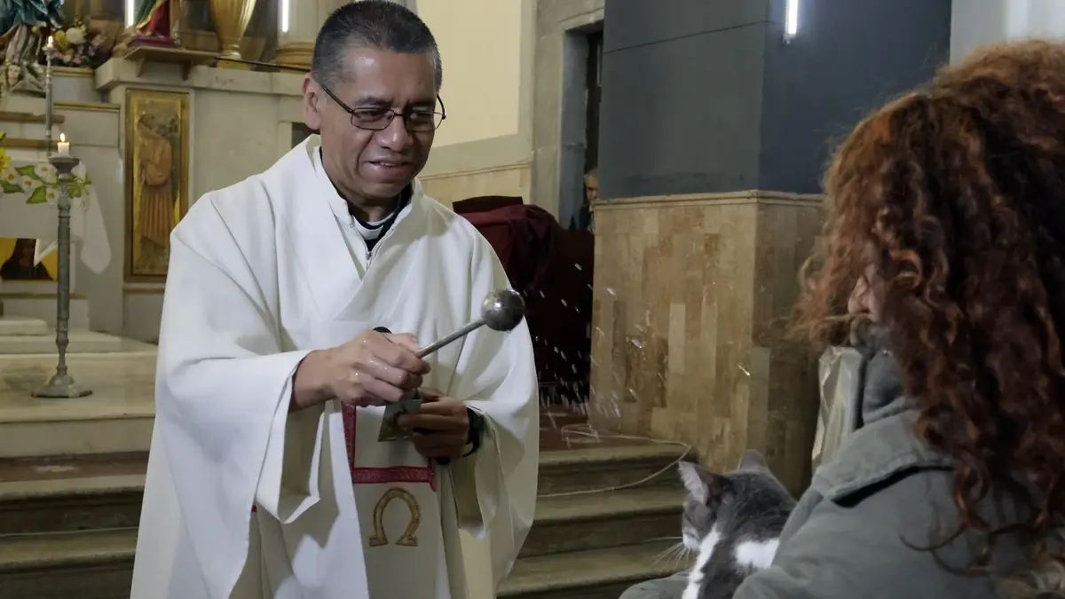 Mascotas reciben bendición por celebración de San Antonio Abad