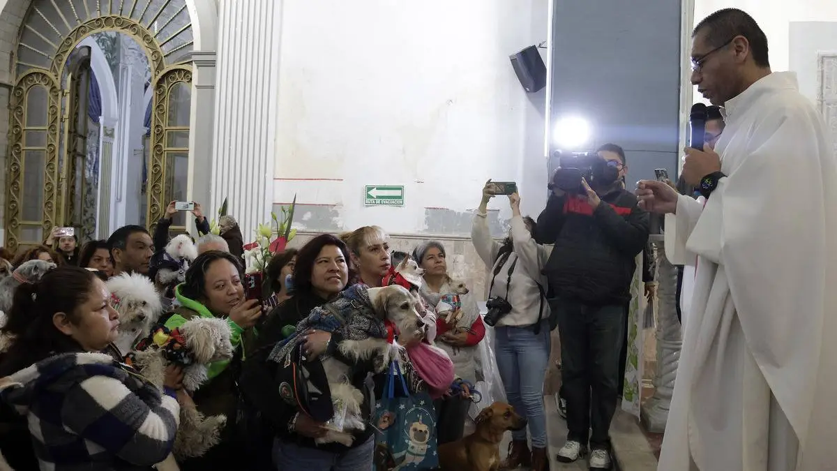 Mascotas reciben bendición por celebración de San Antonio Abad