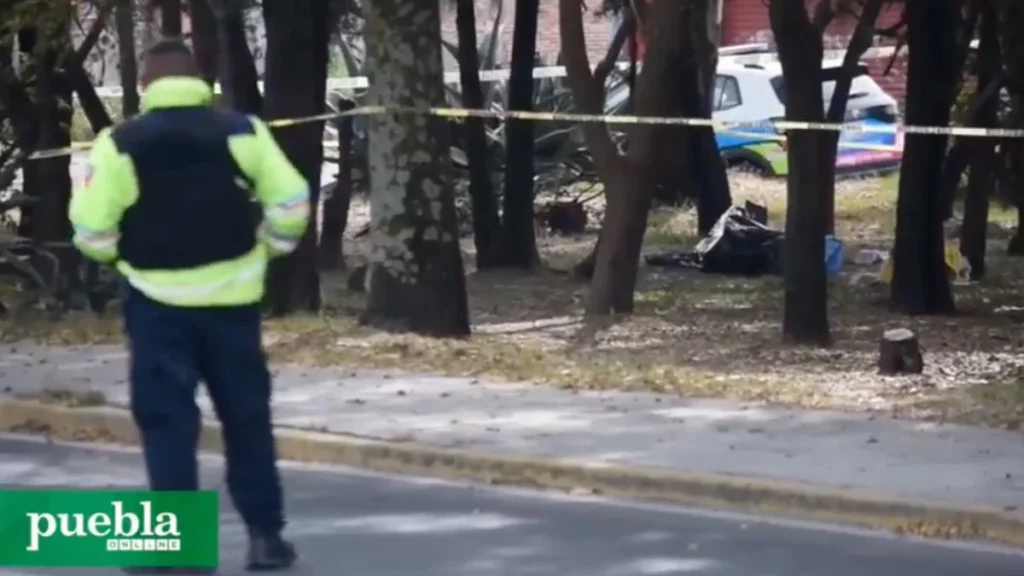 Dejan cadáver de un hombre atado a un árbol en Puebla capital