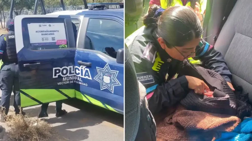 Abandonan a bebé en la colonia Santa Bárbara Norte, en Puebla