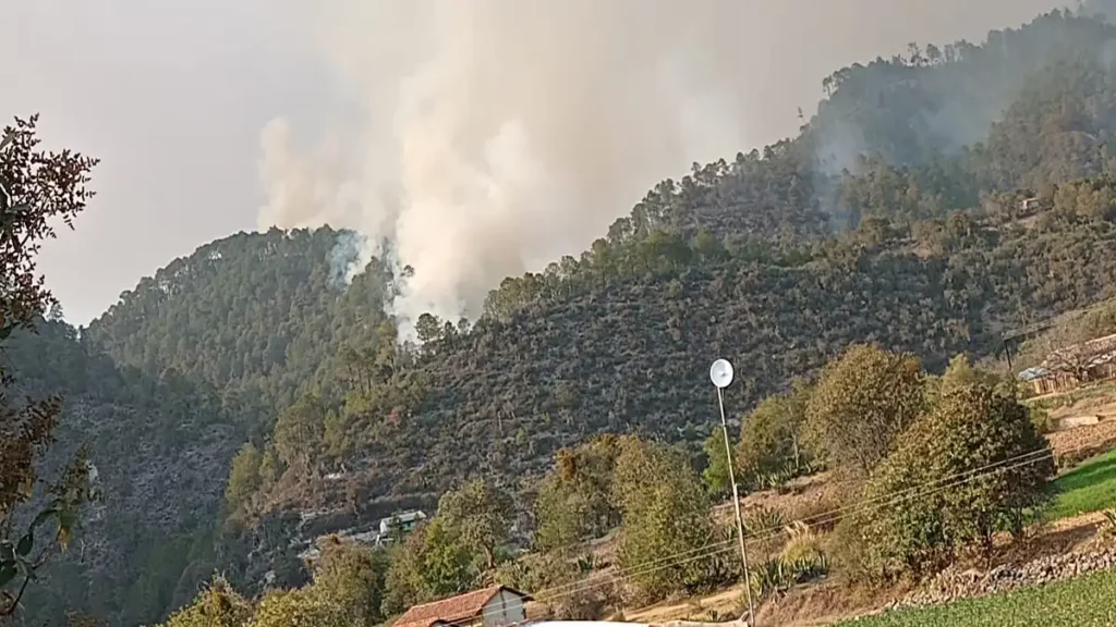 Al 50% liquidado el incendio forestal en Ixtacamaxtitlán