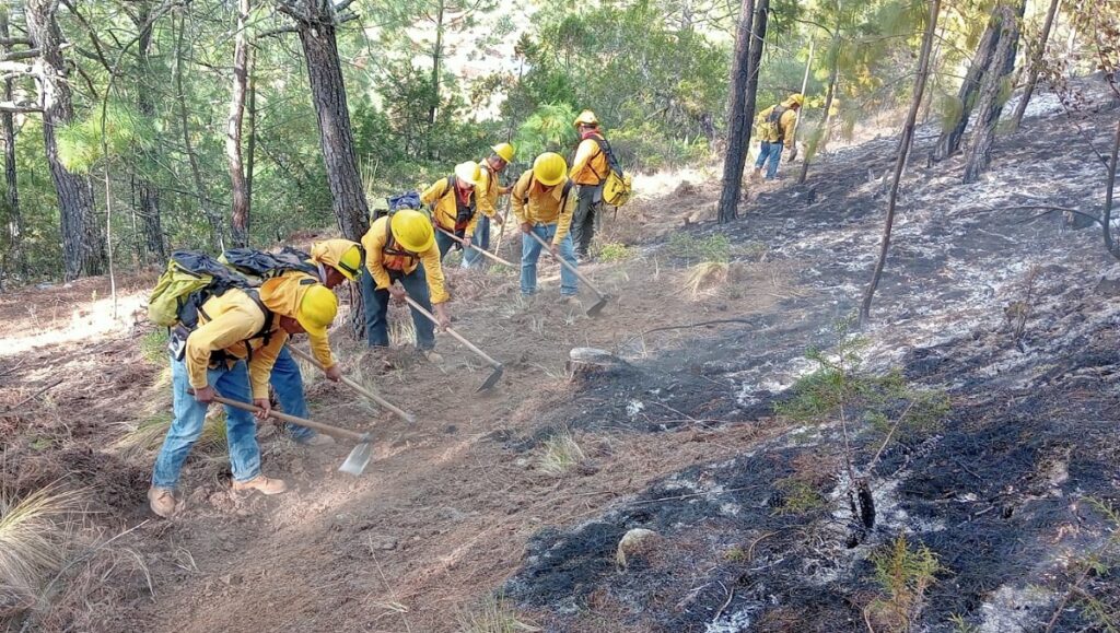 Brigadistas en incendio forestal