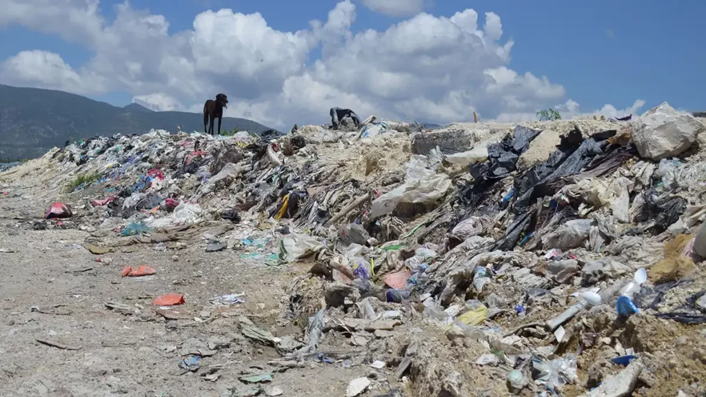 Hay unos 300 perros en el relleno sanitario de Chiltepeque