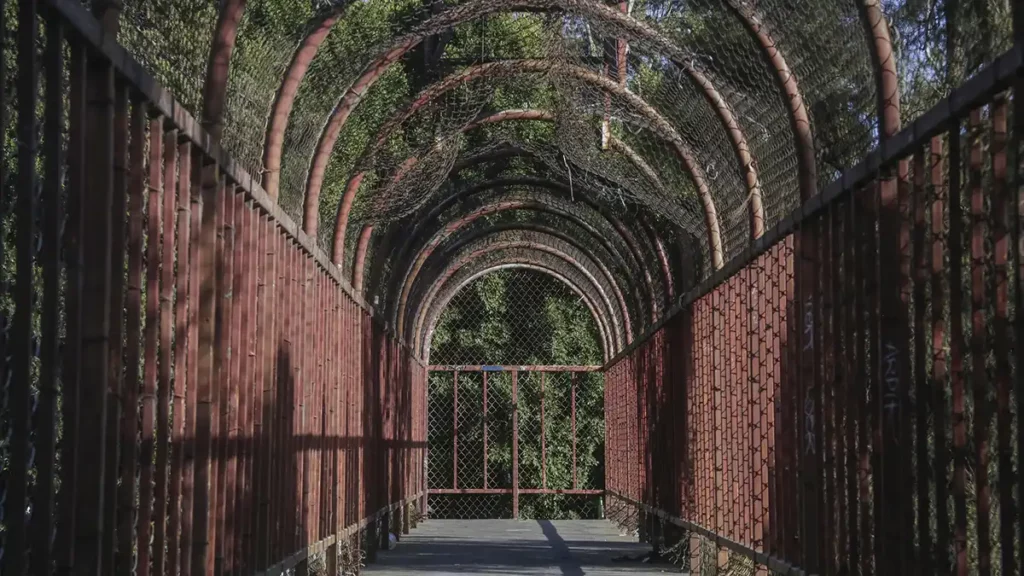 ¡Se va! Retirarán puente peatonal del CENHCH