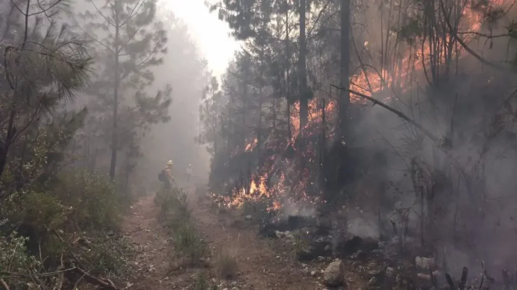 Contraincendio reactivó el fuego en la zona de Ixtacamaxtitlán