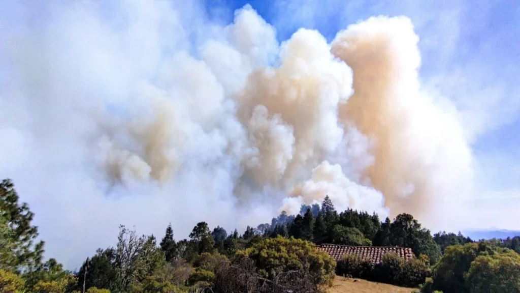 Continúa incendio en Ixtacamaxtitlán; reportan control de 70%