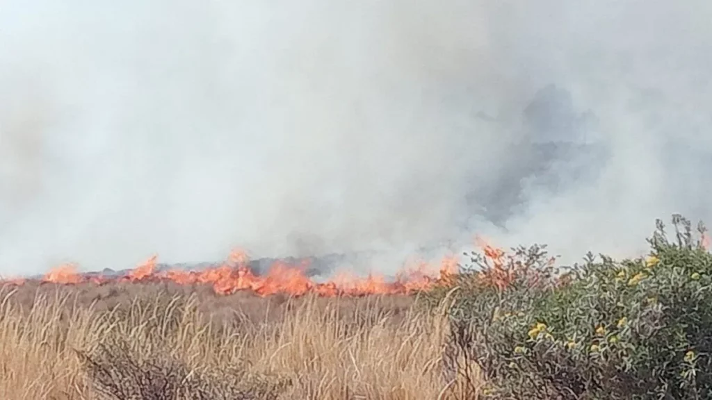 Autoridades combaten incendio en cerro de Ixtacamaxtlán