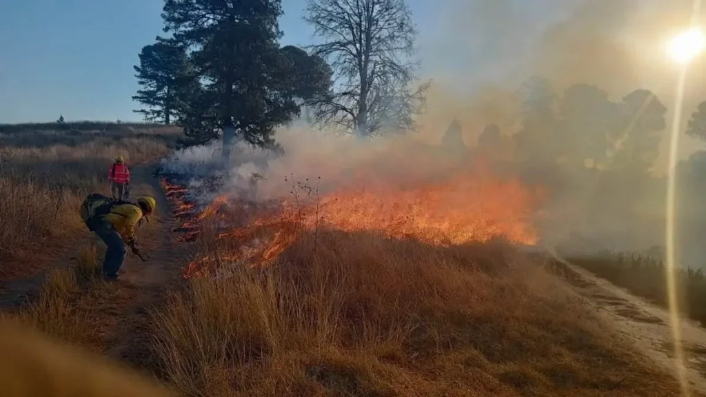 Se registra incendio en el cerro Zapotecas