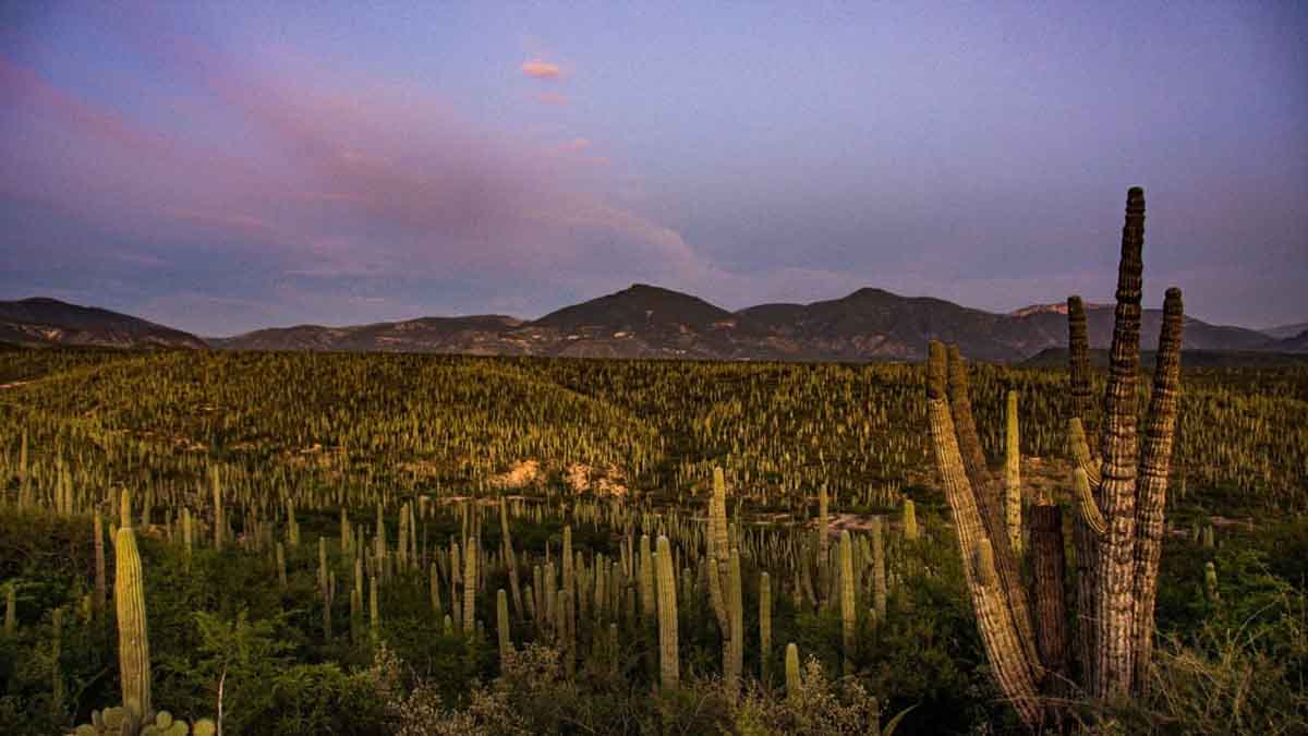 6 atractivos turísticos de Puebla, entre "Lo Mejor de México 2024”