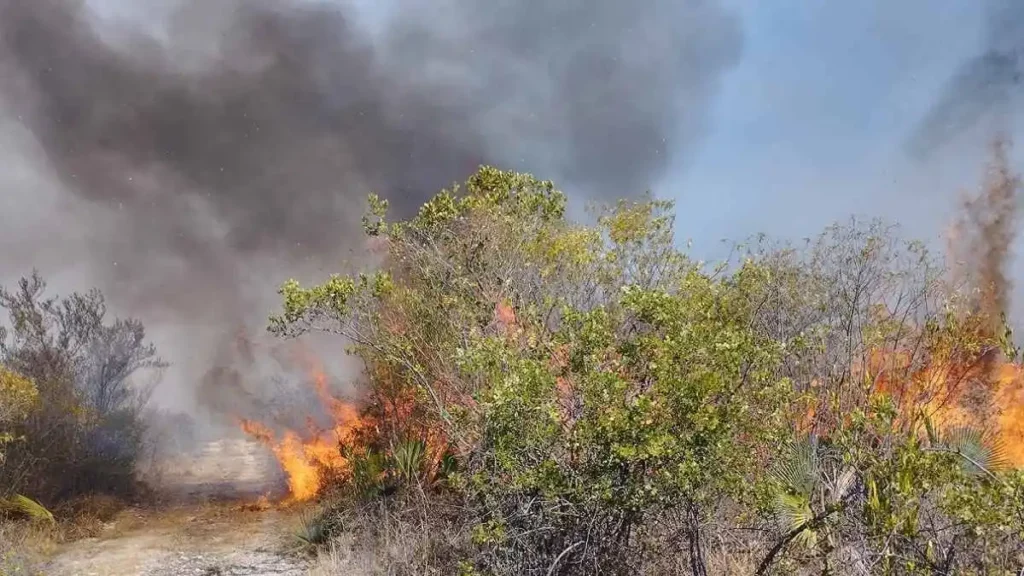 Lugareños y autoridades se organizan para frenar el fuego