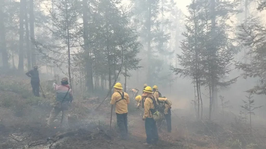 Incendio en Libres avanza a Ocotepec e Ixtacamaxtitlán; hay más de 400 brigadistas