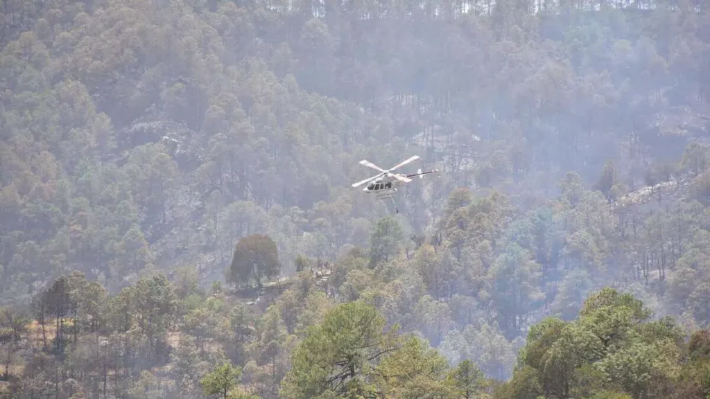 Incendio en Ocotepec e Ixtacamaxtitlán daña alrededor de 210 hectáreas