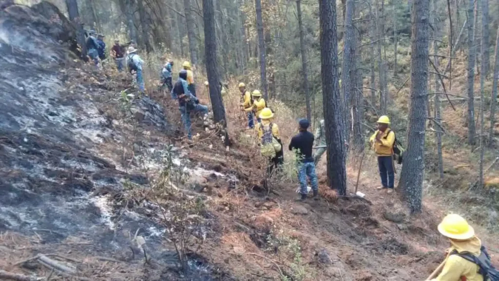 Incendio de Libres está liquidado al 85%, informa Medio Ambiente