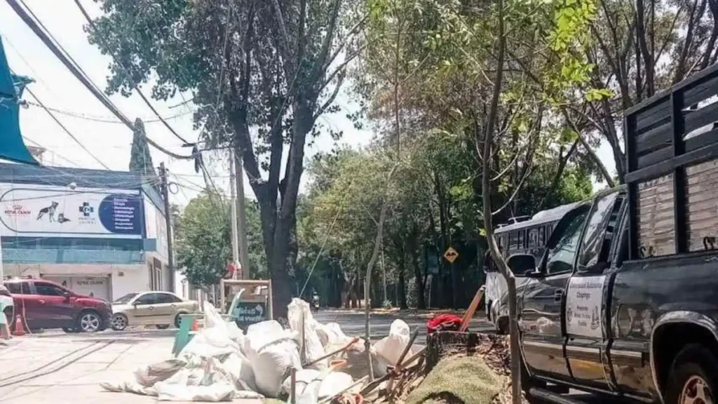 Inicia poda de arboles en el Bulevar 5 de Mayo en Puebla capital