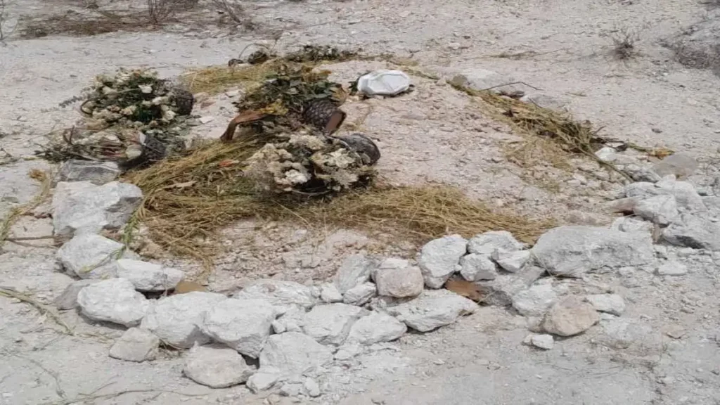 Halla campesino una tumba entre sus terrenos en Santo Tomás Chautla